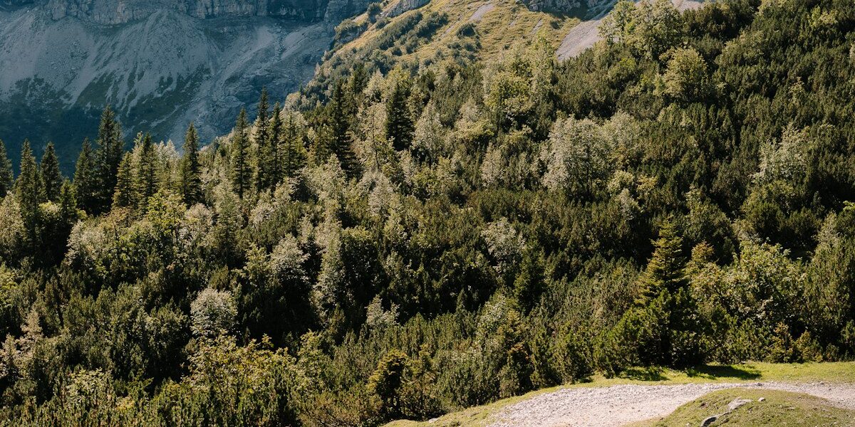 Historic Columbia River Highway: Waterfalls, Tunnels and 4,000 Feet of Climbing